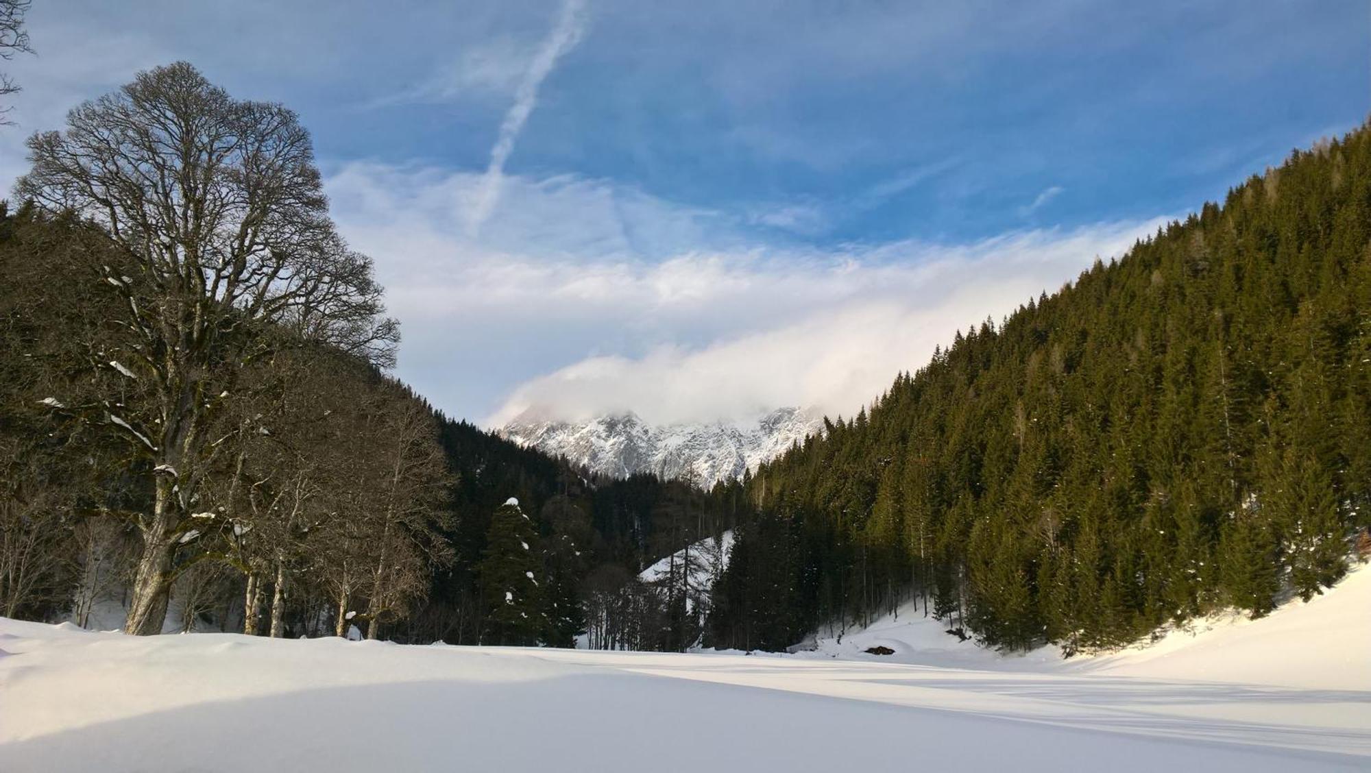 Alpenrose Boutique Chalet Gretl Ramsau am Dachstein Exterior photo