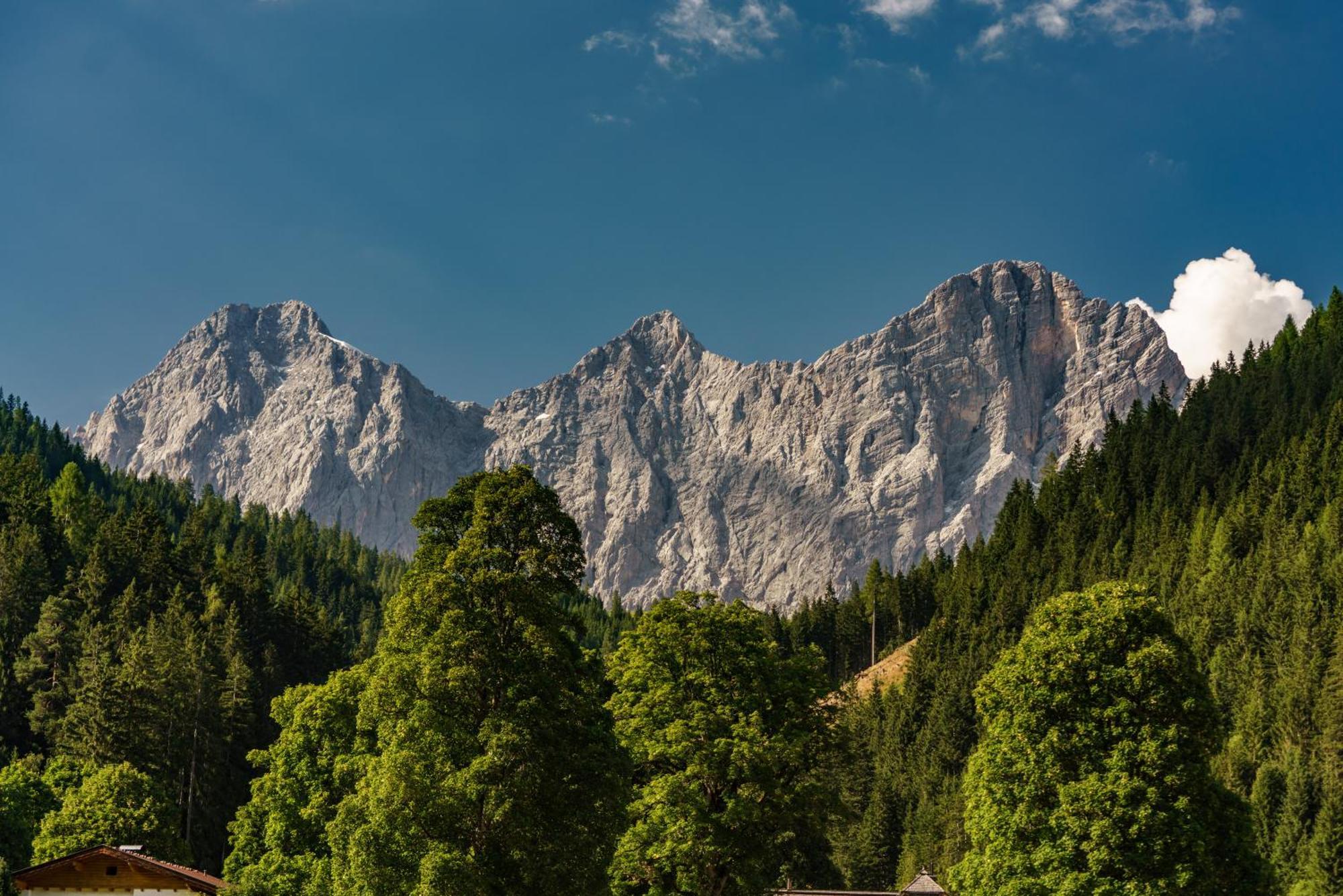 Alpenrose Boutique Chalet Gretl Ramsau am Dachstein Exterior photo