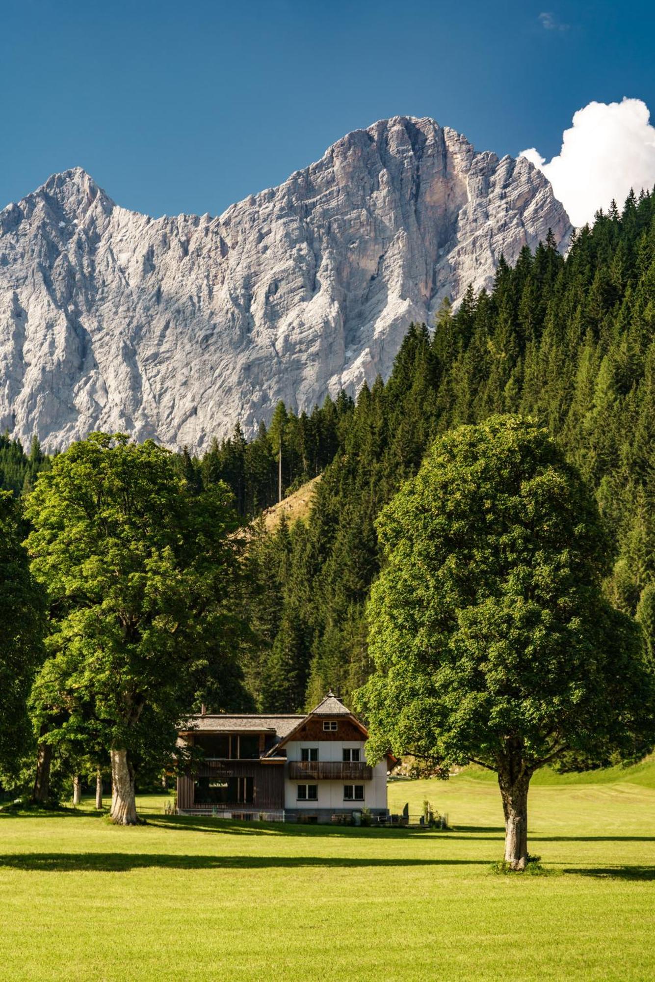 Alpenrose Boutique Chalet Gretl Ramsau am Dachstein Exterior photo